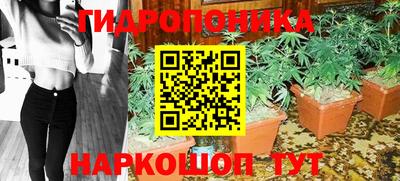 твердый Будённовск