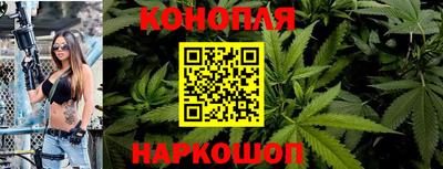 твердый Будённовск