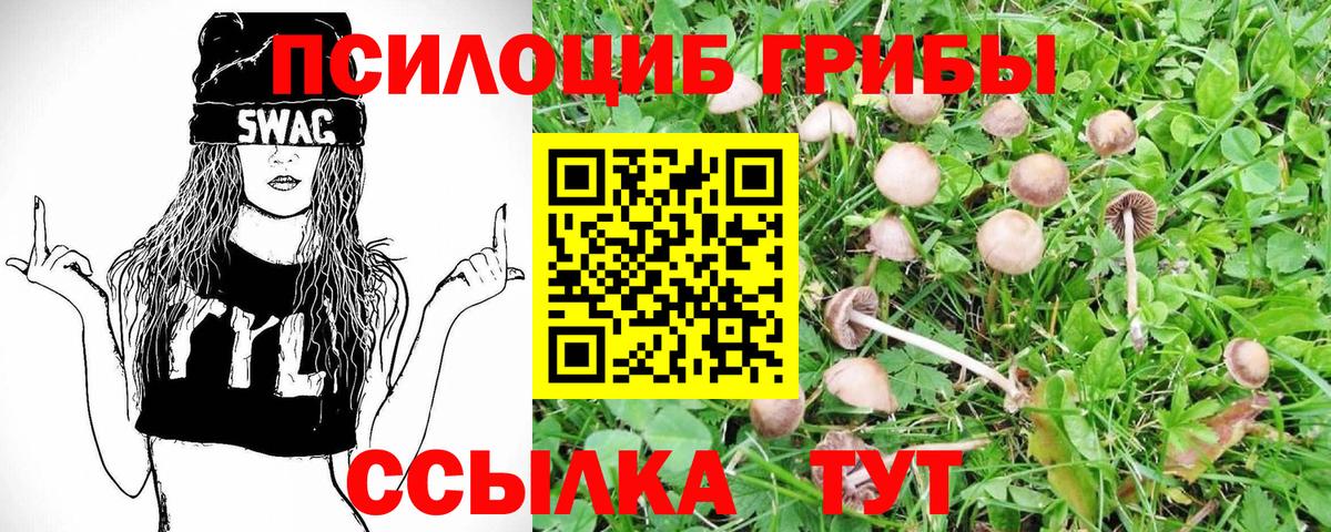 Псилоцибиновые грибы Magic Shrooms Кореновск